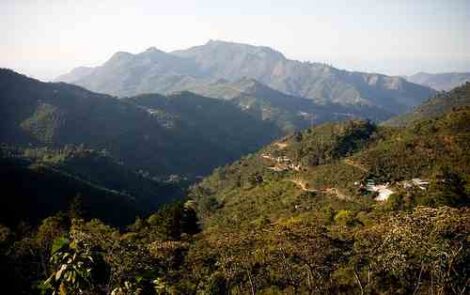 Sustainability's Dark Side: Crockpot 07.06.12 Image